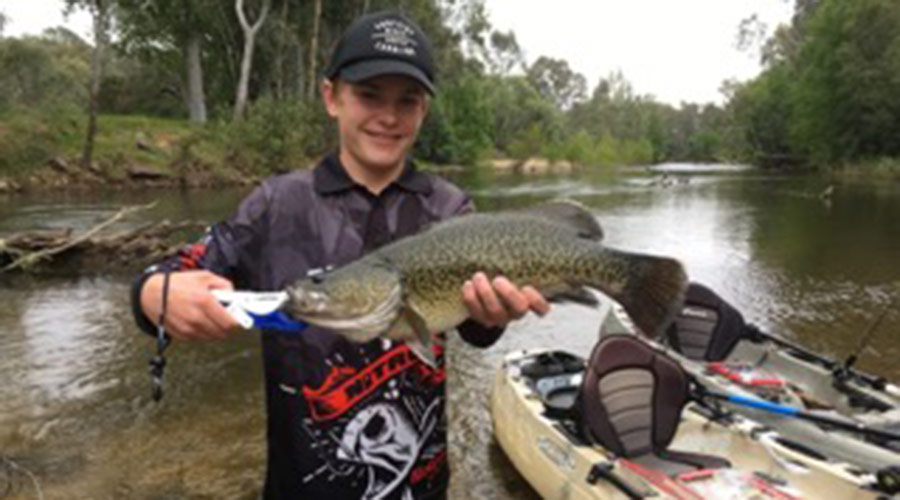 Murray Cod with Child